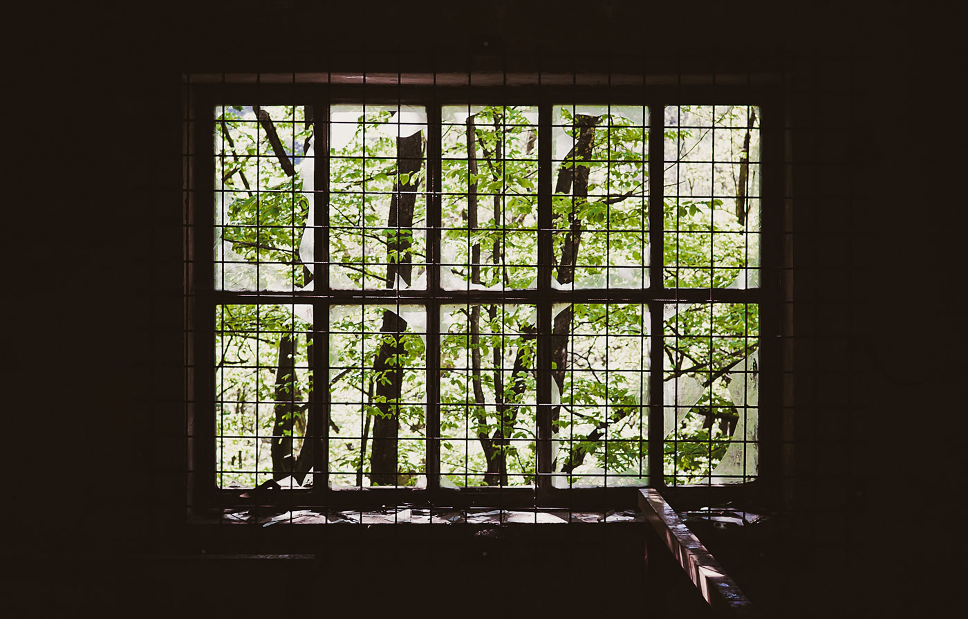 trees-broken-inside-window